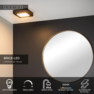 Lucide BRICE-LED - Lámpara de techo Baño - LED Regul. - 1x15W 3000K - IP44 - Negro
